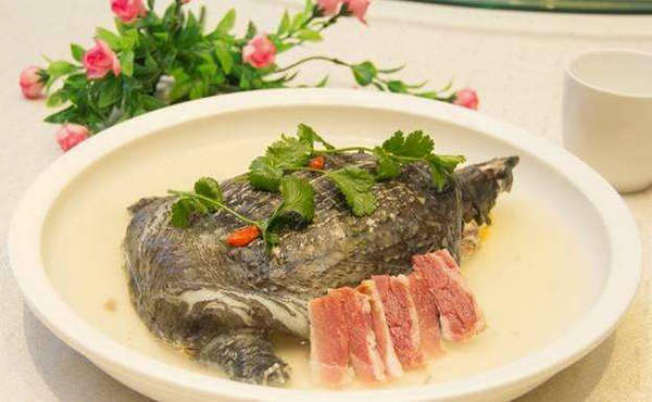 火腿炖甲鱼