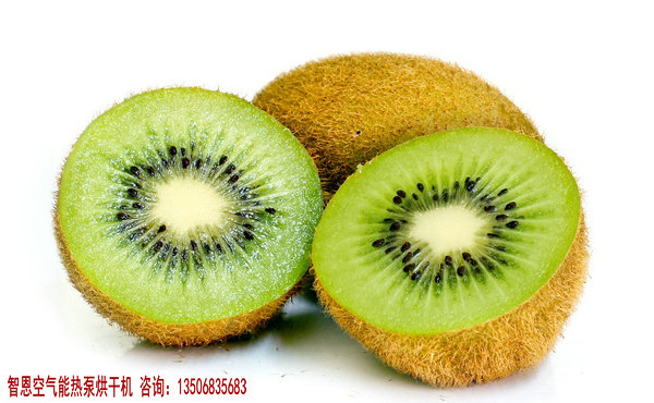 猕猴桃烘干