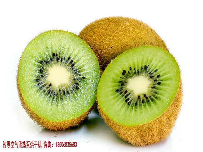 猕猴桃烘干